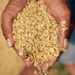 Agriculture