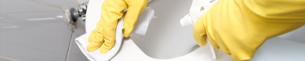 banner1