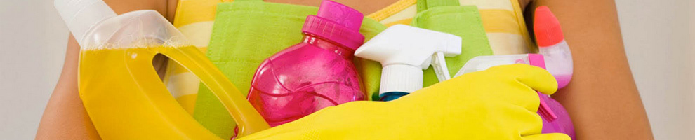 banner1